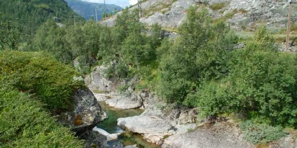 Fikk likevel ja til Øvre Bergselvi