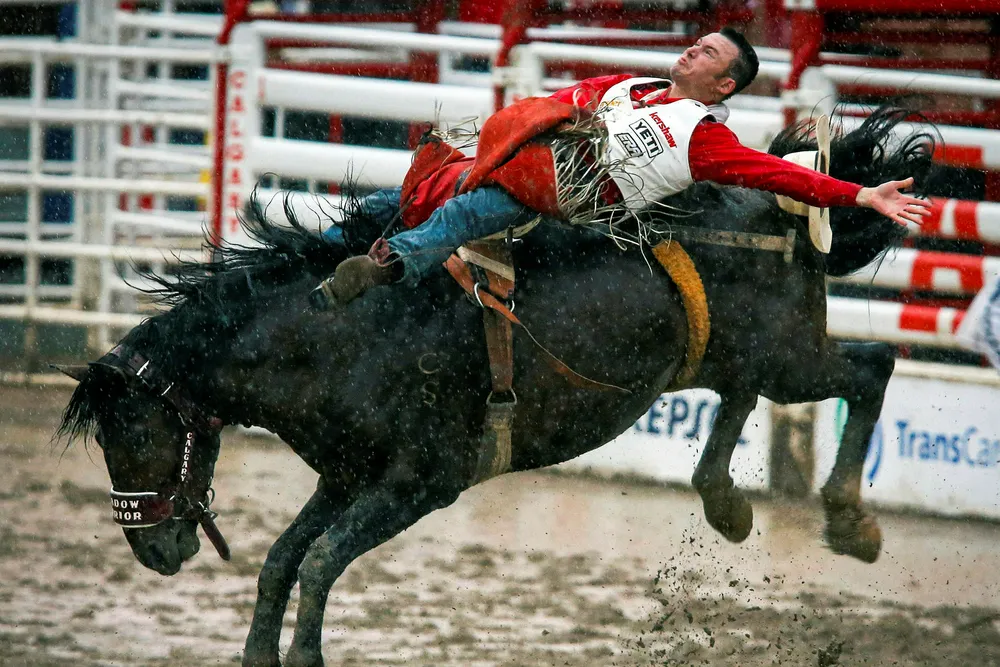 The Calgary Stampede