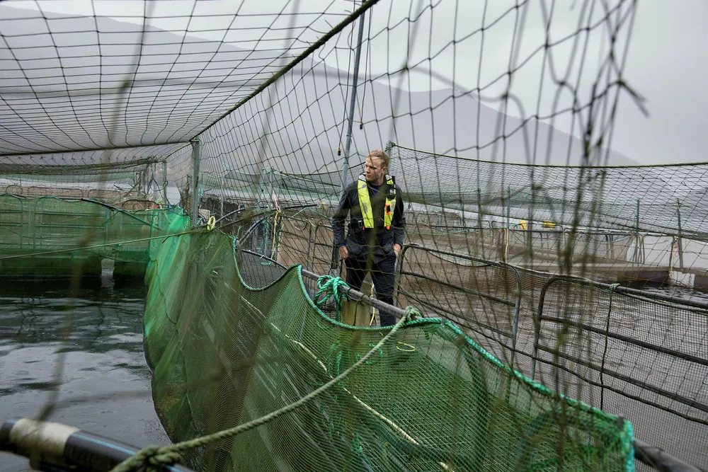 Sondre Eide skriver i et av ukens debattinnlegg om hvorfor miljøproblemene i oppdrett neppe vil løses om han sleper Eide Fjordbruk til havs eller flytter det opp på land. Foto: Eivind Senneset
