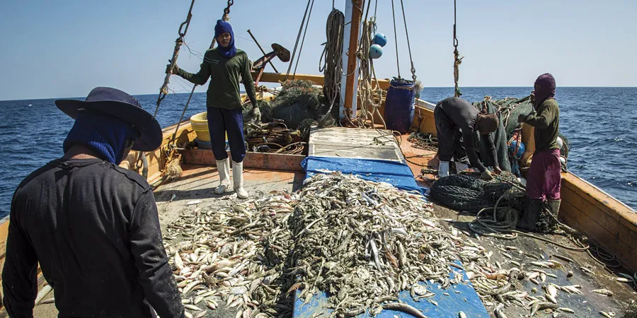 Activists demand Walmart, Carrefour, Costco stop selling Thai shrimp