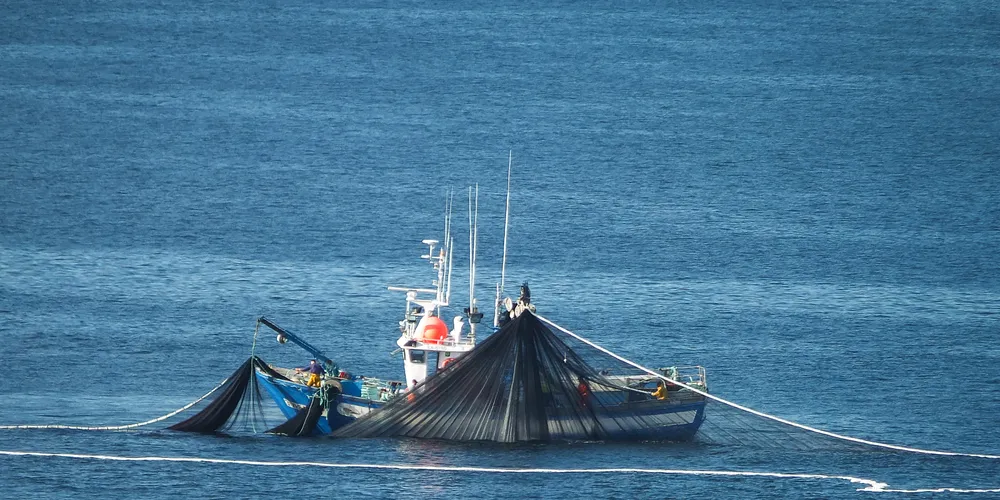 Purse Seine - Prigalla/Flickr