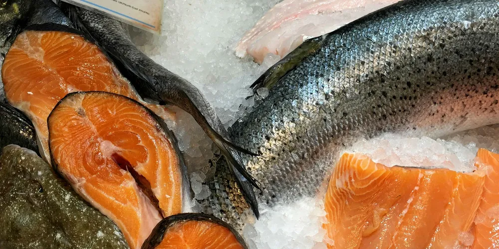 Salmon, ready to be purchased for obscene prices.