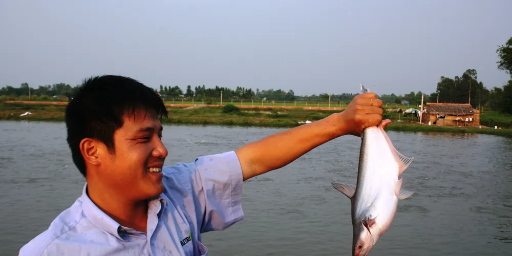 Pangasius supplier: We’ll give buyers no choice on ASC
