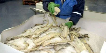 Forventer at saltfisk blir het sak