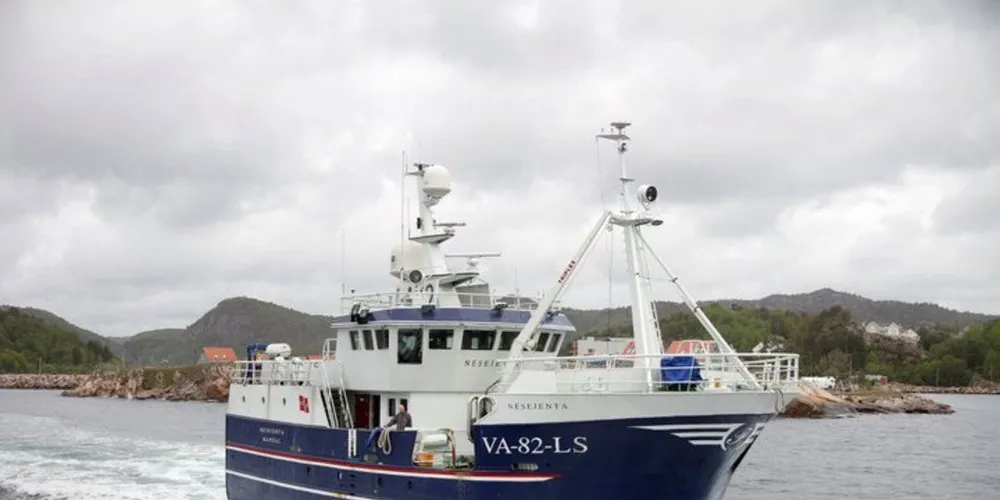 "Nesejenta" fisker torsk elleve måneder i året. En måned går til seifisket. Prisene var gode både på torsk og sei i vinter. Foto: Bjørn Kjellby