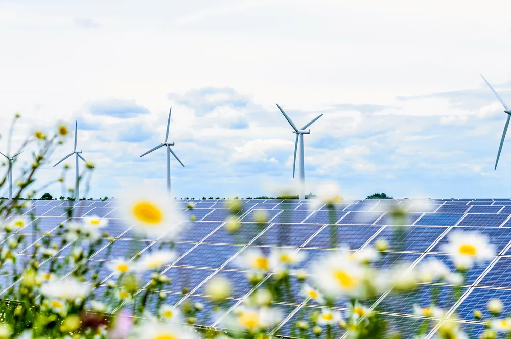 The assets being bough include solar and wind.