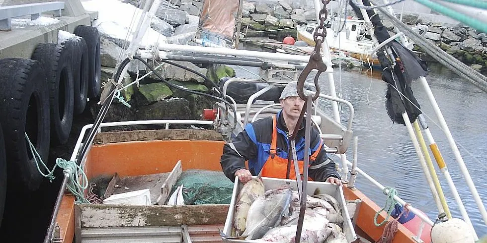 Nofima-forsker Edgar Hneriksne mener norsk hvitfisknæring har for dårlig fokus på kvalitet. Dette skaper dårlig lønnsomhet for både fiskere og industri. Foto: Einar Lindbæk