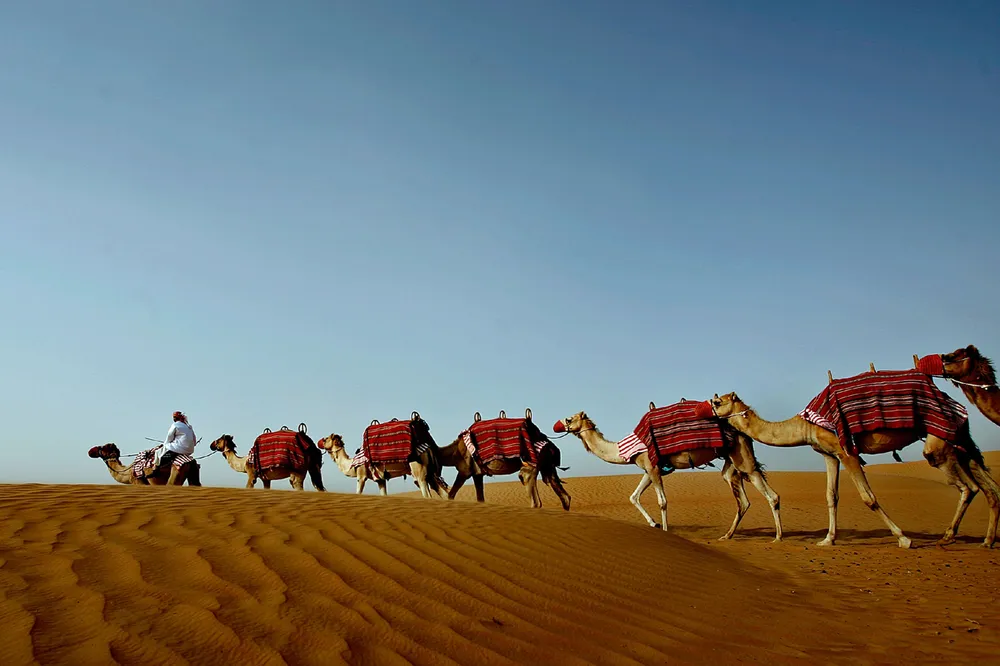 In the saddle: DNO in Tunisia