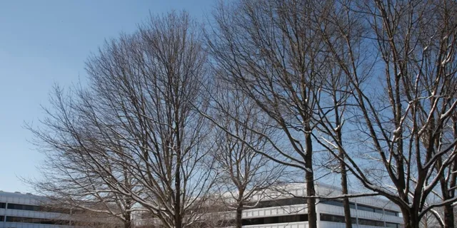 GE adds cold-weather package for 2.5xl turbine
