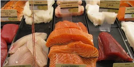 US salmon prices up