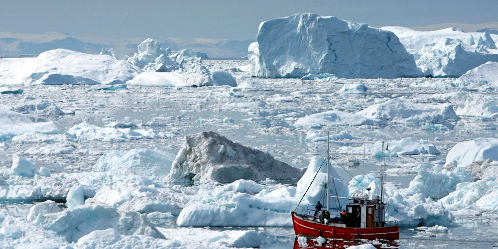 KLIMAENDRINGER: Totalforekomsten av fisk ved Øst-Grønland har gått ned siden 1998.