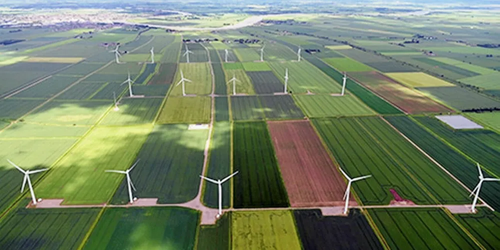 A wind farm in Northeast England.