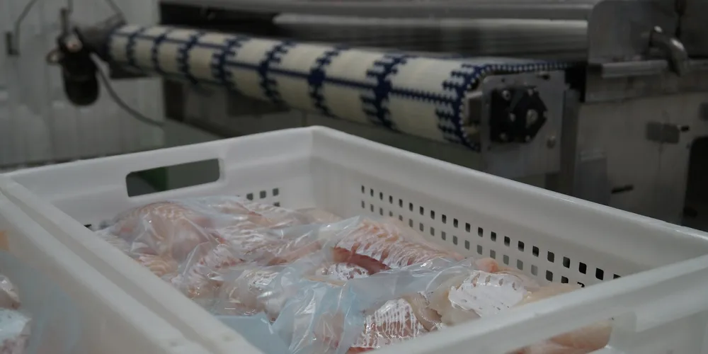 Photo: IntraFish