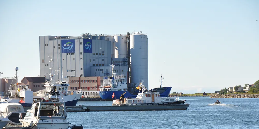 BioMars fiskefôrfabrikk vil samarbeide med Vesterålen Marine Proteiner for å bruke mer fiskeslo i laksefôret. (Foto: Bent-Are Jensen)