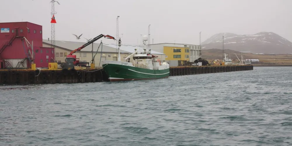 Verdien på de islandske landinger av fisk ble redusert i fjor.