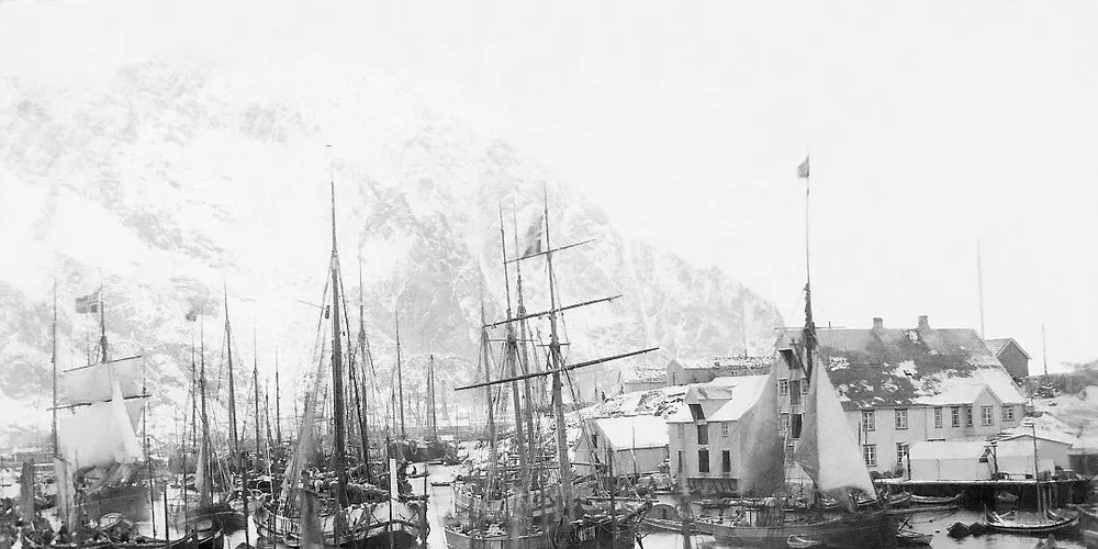 For 100 år siden ble motoren mer og mer vanlig om bord i fiskebåtene, men mange tvilholdt på seilene. Her fra Henningsvær hvor en del av fiskeflåten ligger oppankret. Foto: fra boken Lofotfiske.