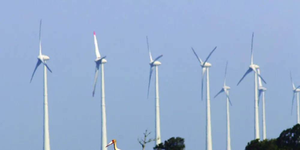Brazil already has 5GW of wind capacity