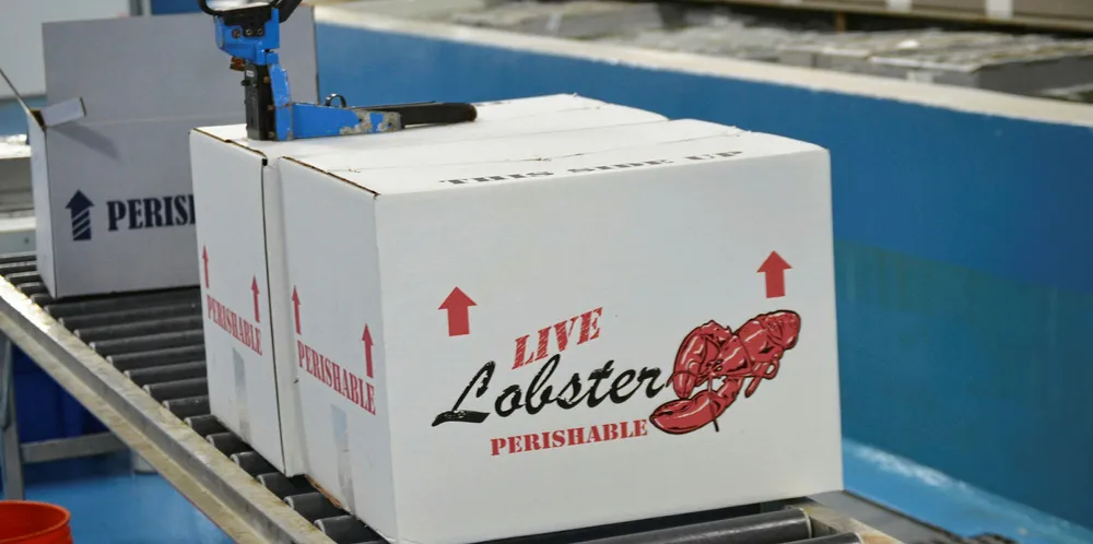 Maine Coast's live lobsters packed up.