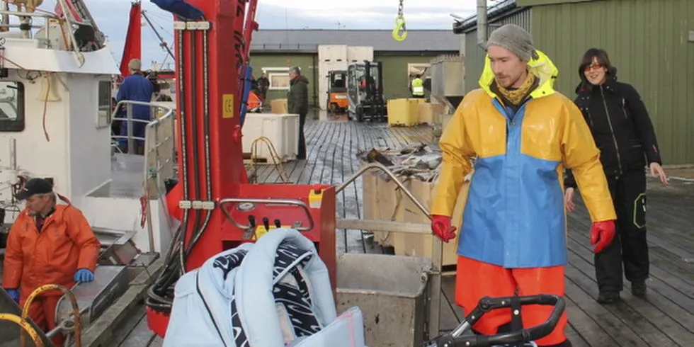 TIDLIG KRØKES....Både store og små er i full sving på kaier, fiskebruk og i båter. Det er storfiske i Lofoten. Foto: Willy Hauge