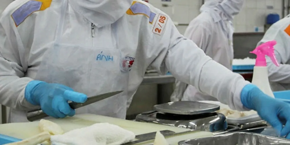 Seafood processing in Vietnam.