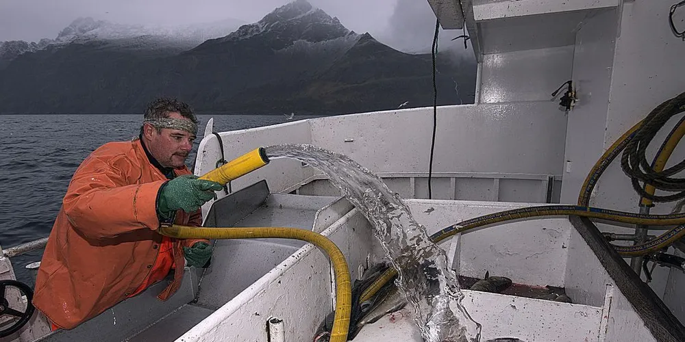 Hugo Pedersen driver for tida hyse og seifiske i området utenfor Arnøya i Nord-Troms. Både han og andre fiskere har opplevd at store mengder rødt og rosa slim har lagt seg på redskapene i høst. Foto: Gunnar Sætra/Havforskningsinstituttet