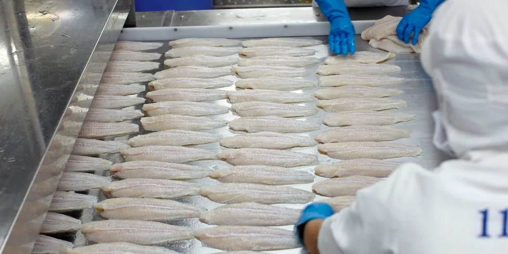 China's soaring seafood growth sparks massive cold store investment