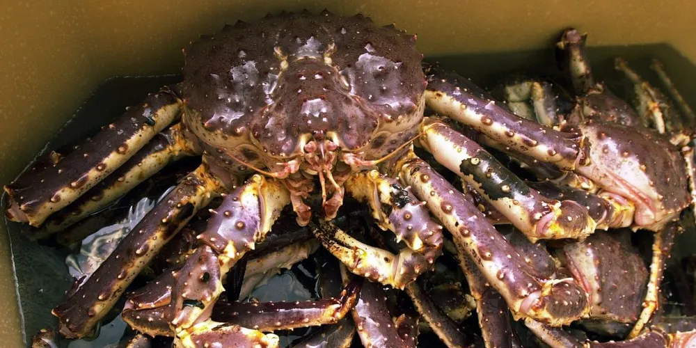 Illustrasjonsfoto: Gunnar Bløndal, DN