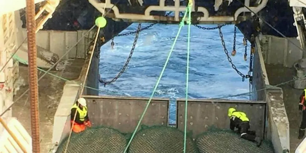 Havfisks tråler «Nordtind» hadde fiskelykke på sin første reketur i Barentshavet. Det meste ser lyst ut for havrekeindustrien i 2018. Foto: Havfisk