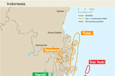 Total and Inpex: to share 30%of the Mahakam field
