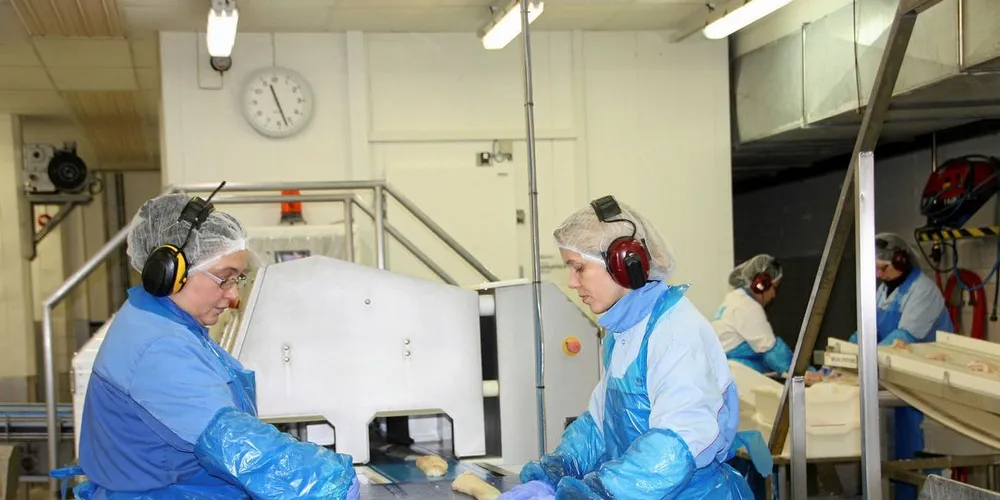 I DET BLÅ: Striden rundt plikten i fiskerinæringen er helt i det blå. Hva som vil skje med Norway Seafoods filetproduksjon i Melbu er derfor uklart.Foto: Terje Jensen