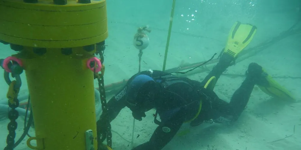 Australia's Carnegie to take over REH wave power technology