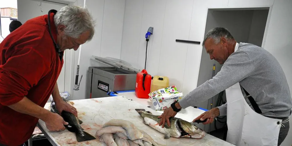 FILET: Å ta med filet hjem er mer bærekraftig, mener organisasjonen Din Tur. Illustrasjonsfoto: Tommy Hansen