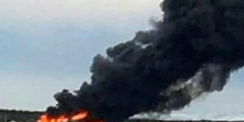 The Black Dove Cove plant was totally destroyed.