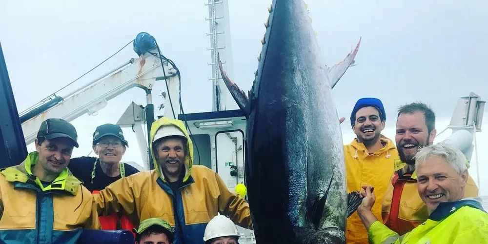 Etter to dagers jakt på størjen, traff «Bluefin»-gjengen blink. Foto: privat