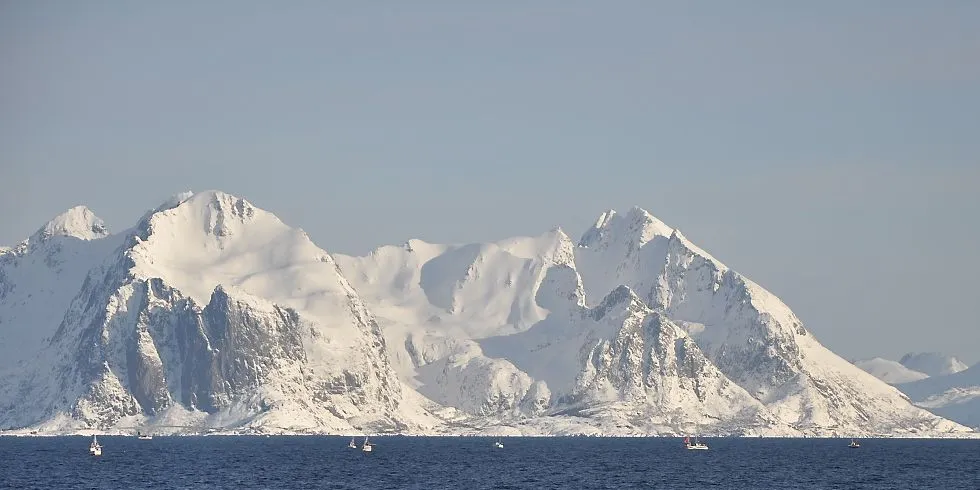 Årets lofotfiske er over. Foto: Mia Kanstad Kulseng