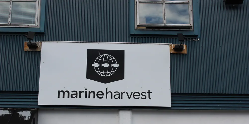 Marine Harvests forsøksstasjon på Averøy.