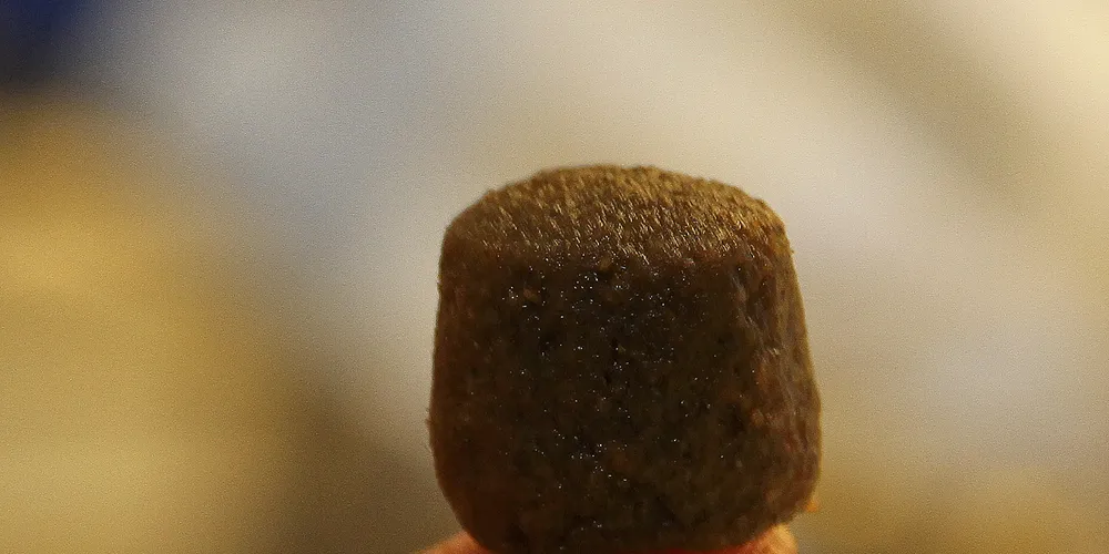 Pellets fra BioMar.