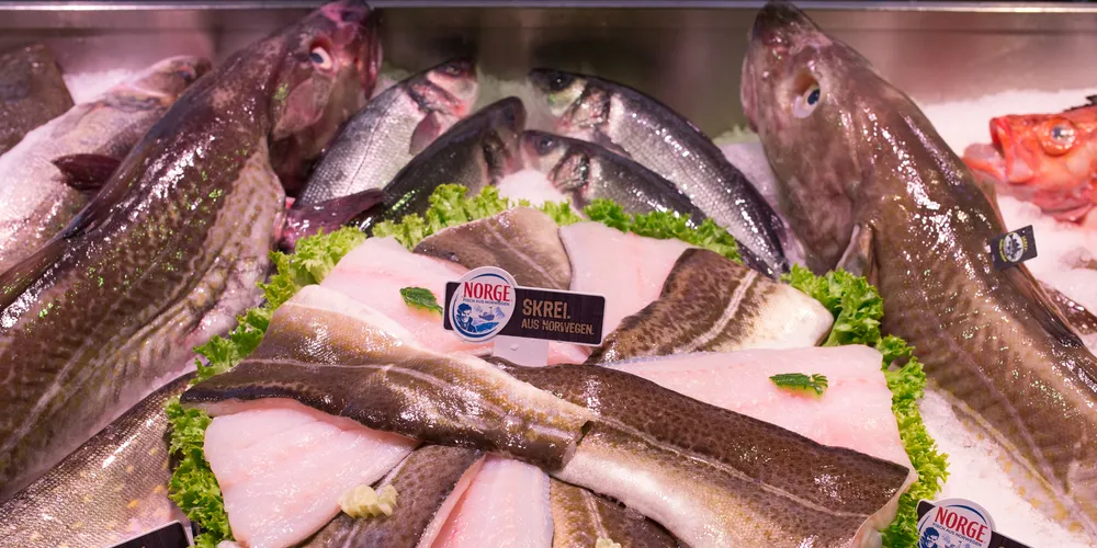 Photo: Norwegian Seafood Council