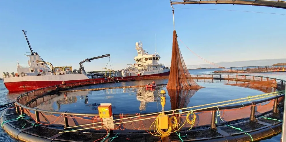 Mengdevis med smolt døde i Nordland våre 2019, men fremdeles dør det like mye fisk i norske oppdrettsmerder. Uholdbart, mener Fiskeribladet.