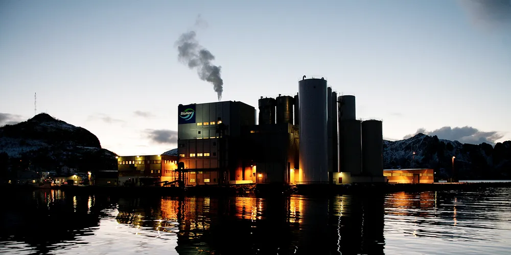 Farmers forced to absorb soaring fishmeal, fish oil prices in feed