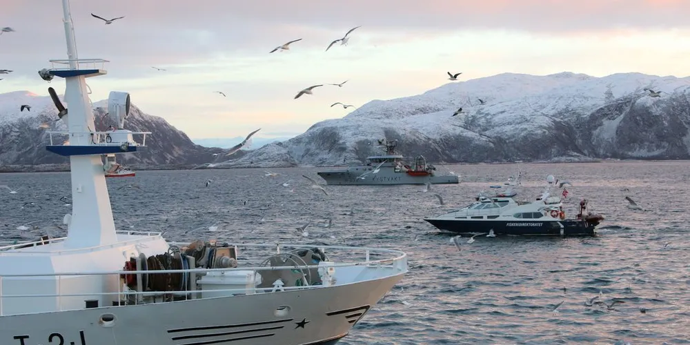 Rett sør av Vengsøya meldes det om vanskeligheter med å finne silda. Her fra sildefiske utenfor Kvaløya, hvor Fiskeridirektoratet ber fiskerne vise aktsomhet grunnet fare for notsprenging. Ill.foto: Jørn Mikael Hagen.