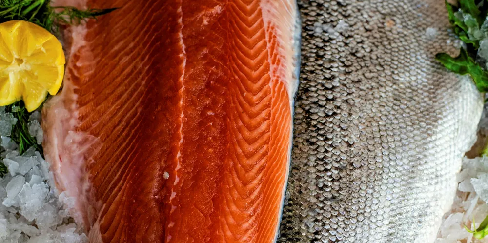 Atlantic salmon.