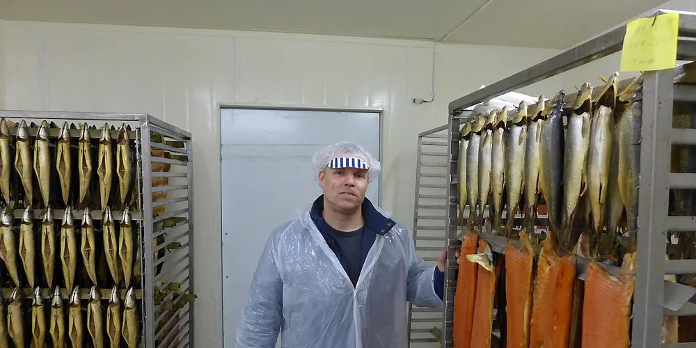 New life for old sardine factory