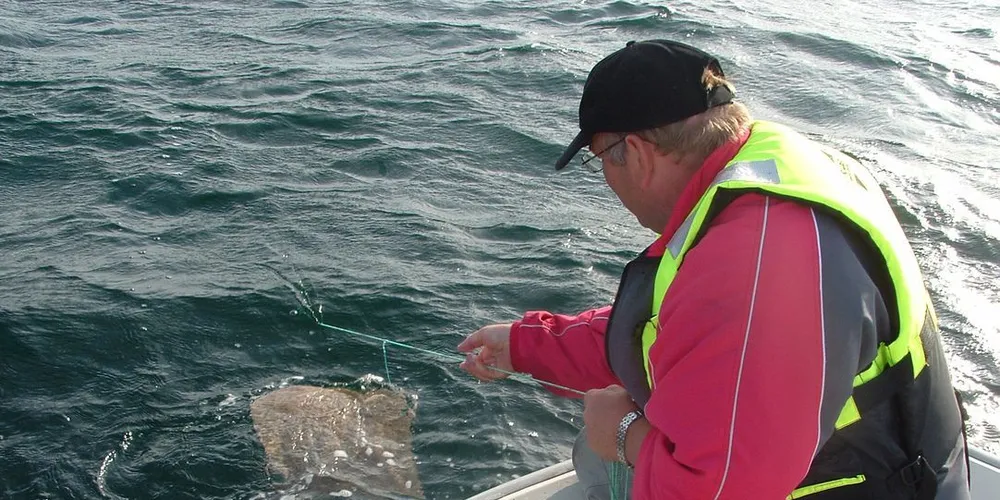 Fritidsfiske skal under lupa i eit stor forskingsprosjekt i regi av Havforskningsinstituttet. Ill.foto: fiskeri.no