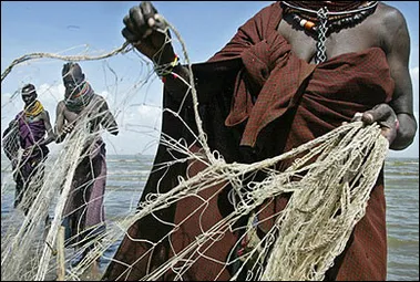 Kenya go-ahead  for seismic
