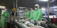 Chilean company can't find investor