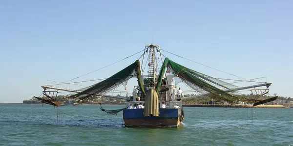 French processor Gel-Peche hurt by low Madagascar shrimp harvests