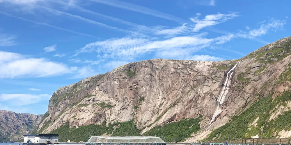 The Gorge salmon farming site operated by Mowi in Newfoundland and Labrador.
