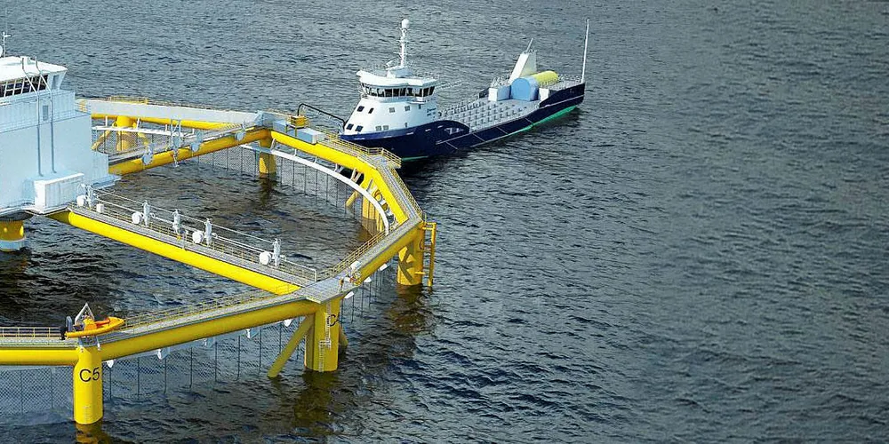 Ocean Farm 1