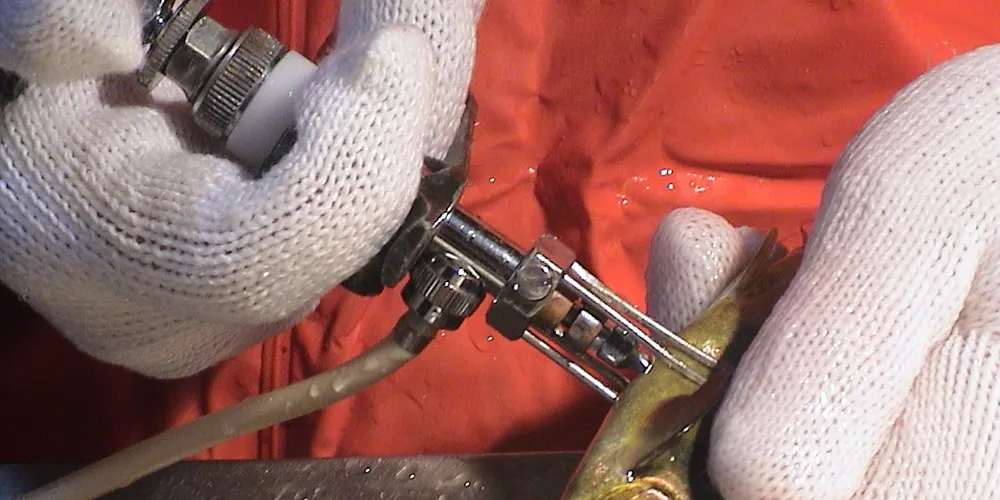 Norway salmon vaccination update